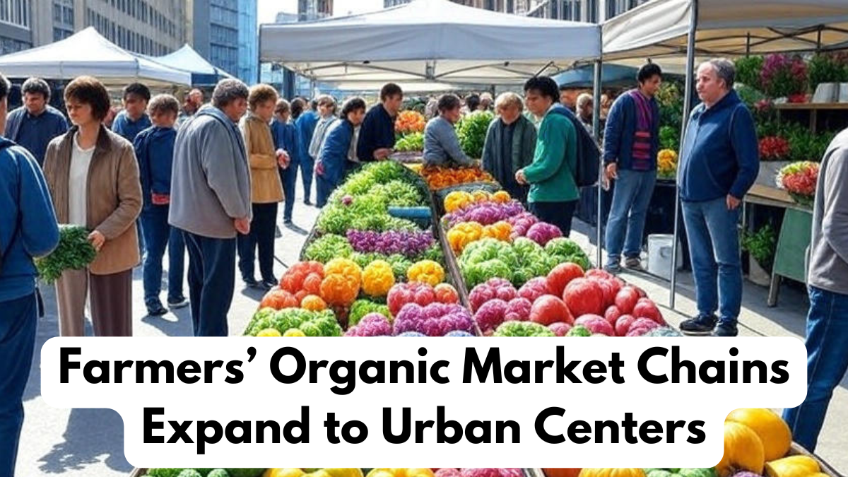 Farmers’ Organic Market Chains Expand to Urban Centers