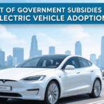 The Impact of Government Subsidies on India’s Electric Vehicle Adoption